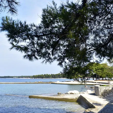 Spacious In With Garden