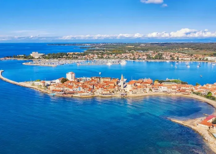 Spacious In With Garden 아파트 *