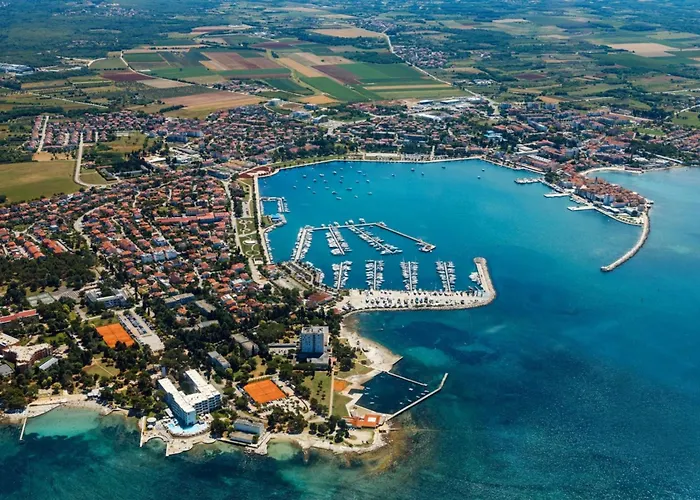 Spacious In With Garden *